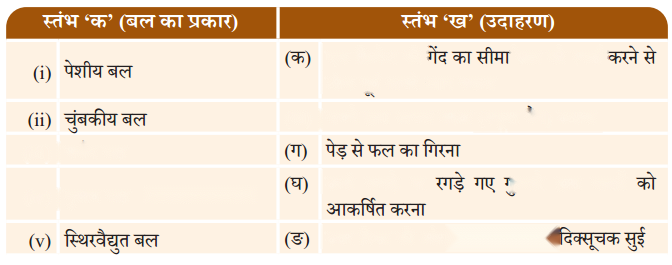 Exploring Forces (Hindi Medium) Diagram 1