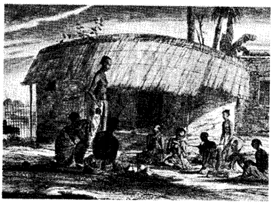 Civilising the Native Educating the Nation Diagram 5