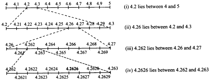 Number Systems Diagram 19