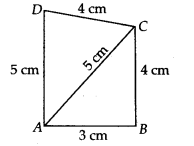 Herons Formula Diagram 11