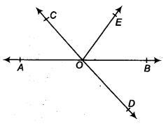 Lines and Angles Diagram 1