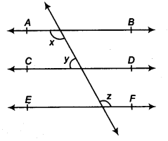 Lines and Angles Diagram 15