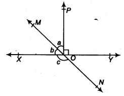 Lines and Angles Diagram 2