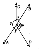 Lines and Angles Diagram 4
