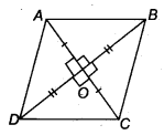 Quadrilaterals Diagram 2