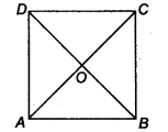 Quadrilaterals Diagram 3