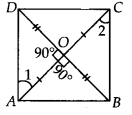 Quadrilaterals Diagram 4