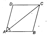 Quadrilaterals Diagram 5