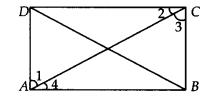 Quadrilaterals Diagram 8