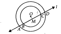 Circles Diagram 12