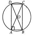 Circles Diagram 21