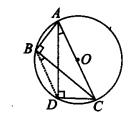 Circles Diagram 25
