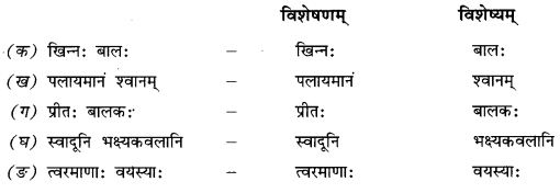 भ्रान्तो बालः (Bhranto_Balah) Diagram 2