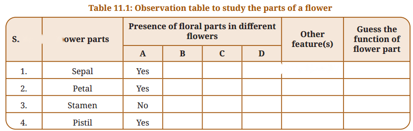 Reproduction How Life Continues Diagram 10