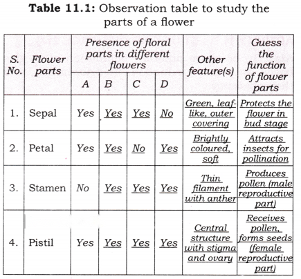 Reproduction How Life Continues Diagram 11