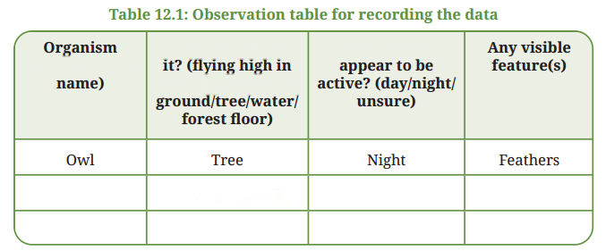 Patterns in Life Diversity and Classification Diagram 1