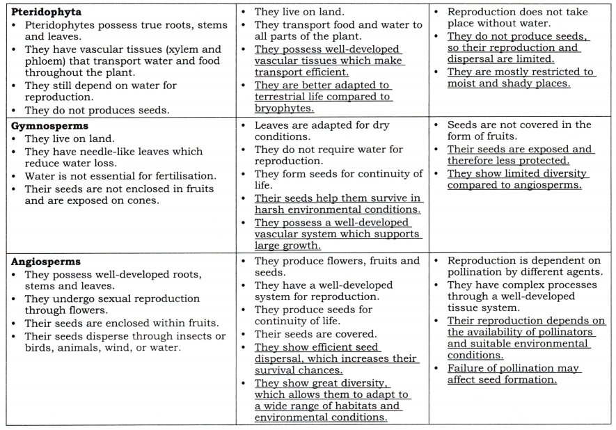 Patterns in Life Diversity and Classification Diagram 10