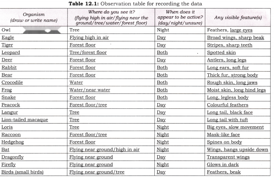 Patterns in Life Diversity and Classification Diagram 2
