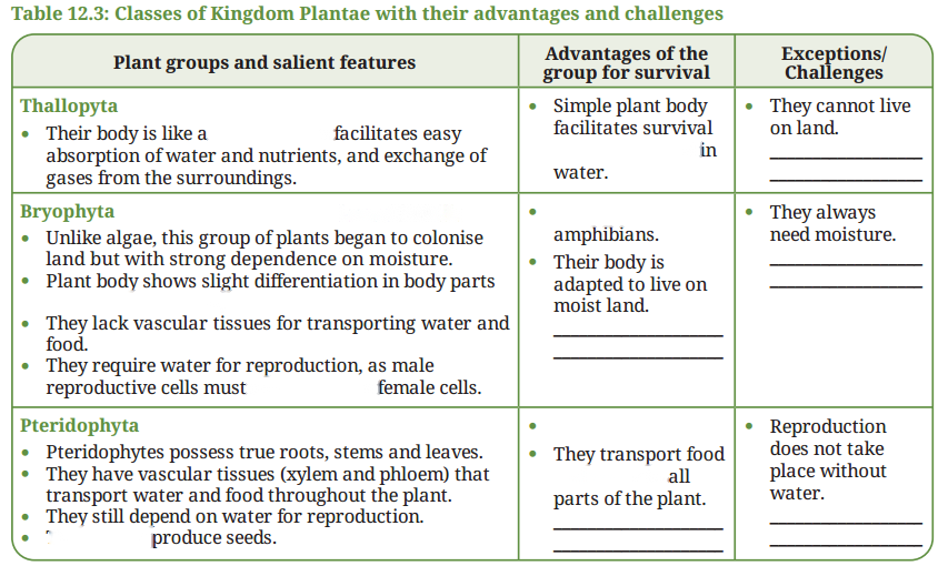 Patterns in Life Diversity and Classification Diagram 7
