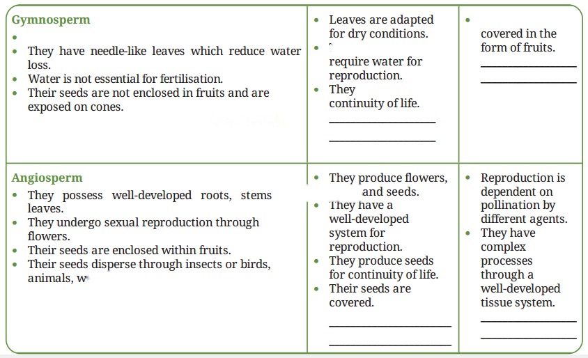 Patterns in Life Diversity and Classification Diagram 8