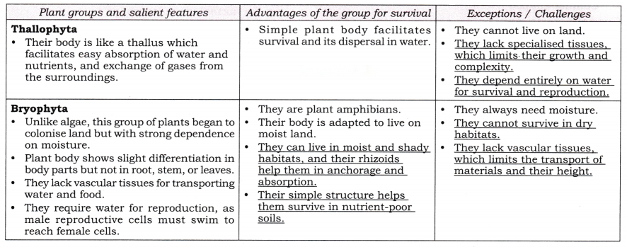Patterns in Life Diversity and Classification Diagram 9