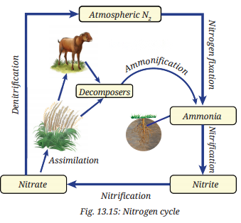 Earth as a System Energy Matter and Life Diagram 2