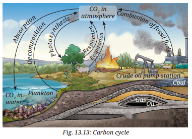 Earth as a System Energy Matter and Life Diagram 3