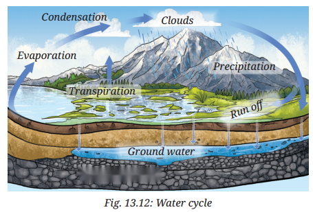 Earth as a System Energy Matter and Life Diagram 4