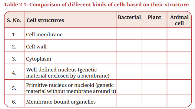 Cell The Building Block of Life Diagram 11