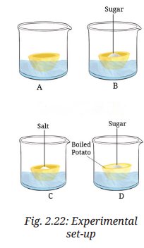 Cell The Building Block of Life Diagram 3