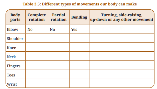 Tissues in Action Diagram 12