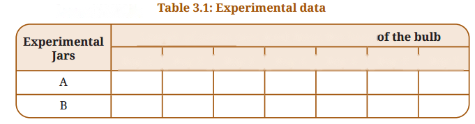 Tissues in Action Diagram 5