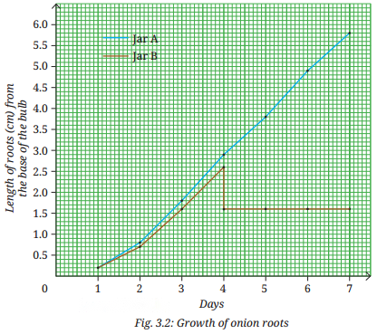 Tissues in Action Diagram 6