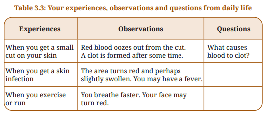 Tissues in Action Diagram 9