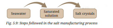 Exploring Mixtures and Their Separation Diagram 10