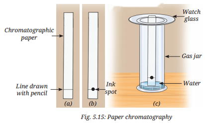 Exploring Mixtures and Their Separation Diagram 11