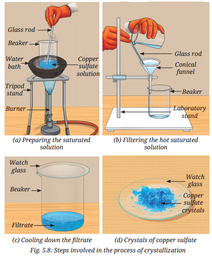 Exploring Mixtures and Their Separation Diagram 9