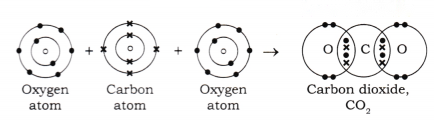 Atomic Foundations of Matter Diagram 10