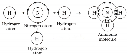 Atomic Foundations of Matter Diagram 12