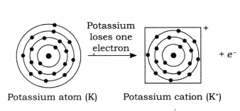 Atomic Foundations of Matter Diagram 14
