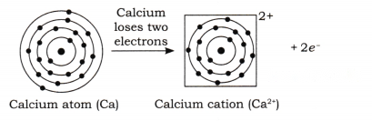 Atomic Foundations of Matter Diagram 15