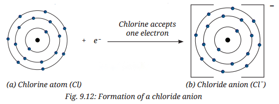 Atomic Foundations of Matter Diagram 16