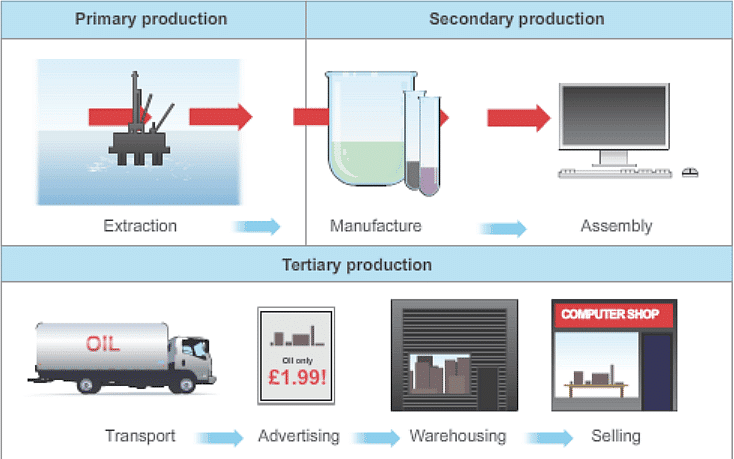 Chapter Notes: Economic Activities Around Us