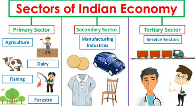 Chapter Notes: Economic Activities Around Us