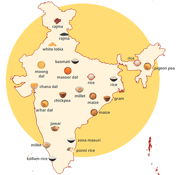 Chapter Notes: India`s Cultural Roots