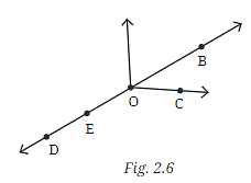 NCERT Solution: Lines and Angles