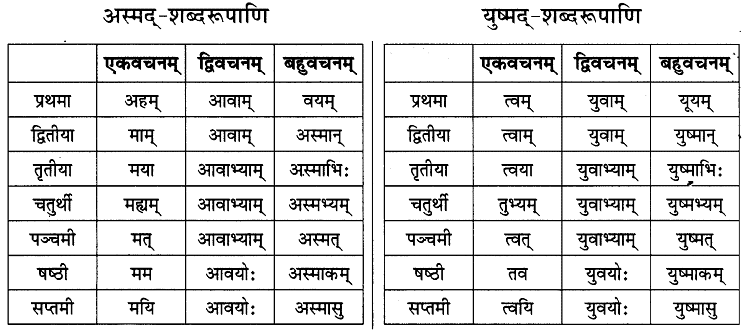 NCERT Solutions: अहं च त्वं च