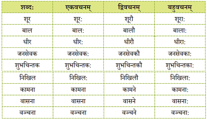 NCERT Solutions: शूरा: वयं धीरा: वयम्