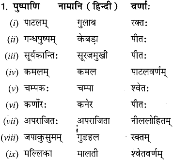 NCERT Solutions: सः एव महान् चित्रकार: