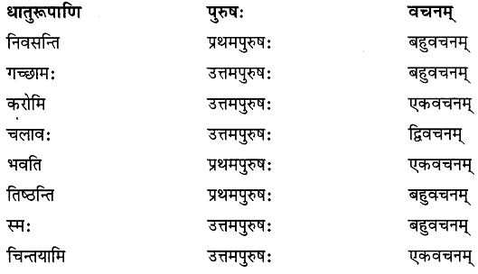 NCERT Solutions: बुद्धि: सर्वार्थसाधिका